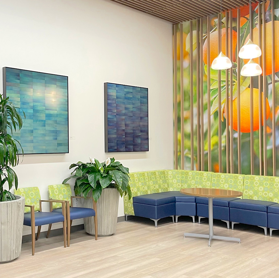 Steven K. - HEALTHCARE ORGANIZATION